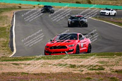 media/Feb-25-2024-Speed Ventures (Sun) [[b9a2a97a4d]]/Mustang Drivers Club/Session 3 (Turn 2)/